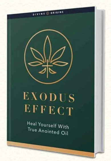 The Exodus Effect Book Amazon - Pastor Andrew PDF