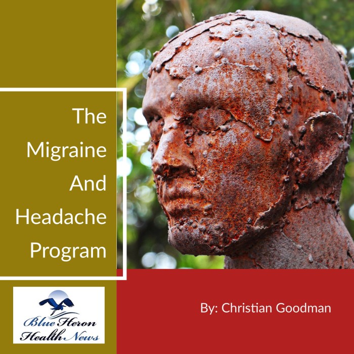 The Migraine and Headache Program PDF Download