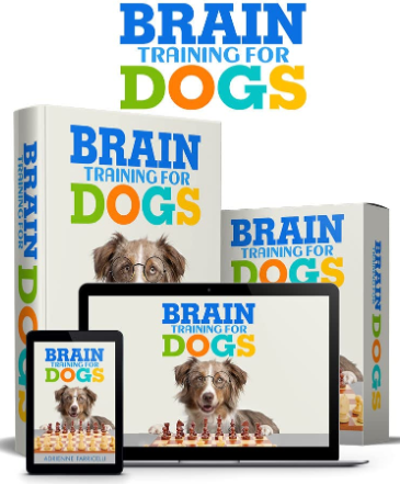Brain Training For Dogs PDF Free Download - Adrienne Farricelli Dog Trainer