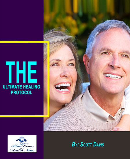 The Ultimate Healing Protocol PDF eBook