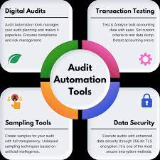Financial Audit Software Market Trends and Dynamics 2033