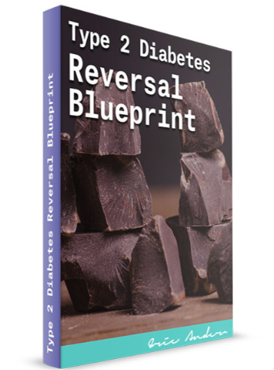 Type 2 Diabetes Reversal Blueprint PDF - Eric Anderson Book