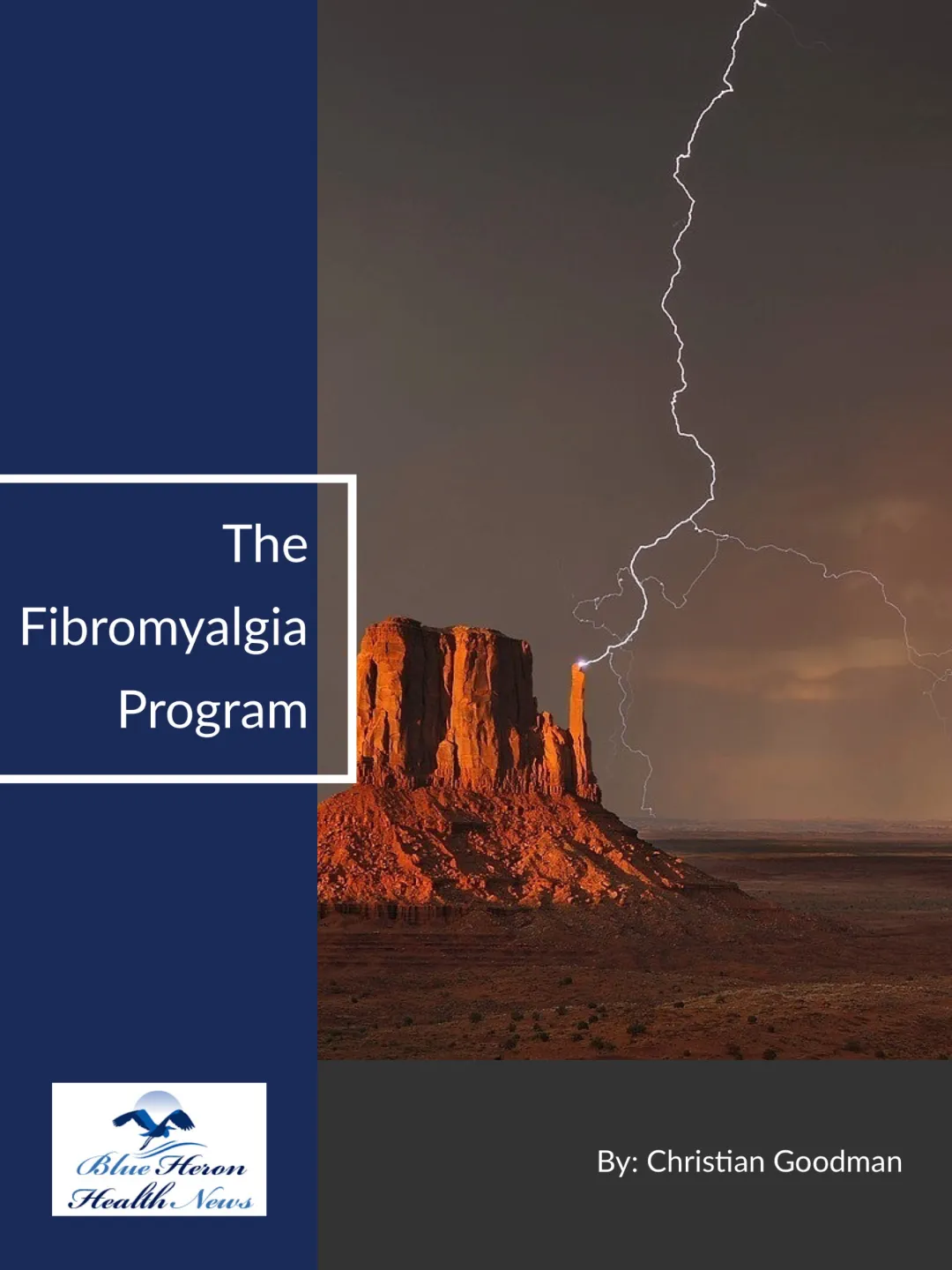 The Fibromyalgia Program PDF eBook Download Christian Goodman