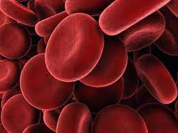 Artificial Blood Cells Market Report Opportunities, and Forecast By 2033