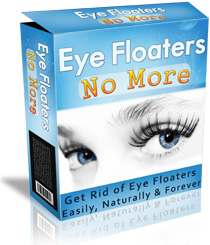 Eye Floaters No More™ eBook PDF Download