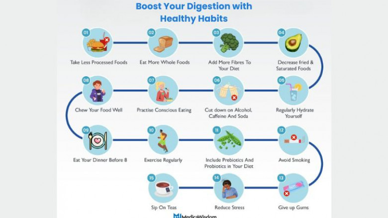 The Ultimate Guide to Digestive Health: Care, Nutrition & Supplements