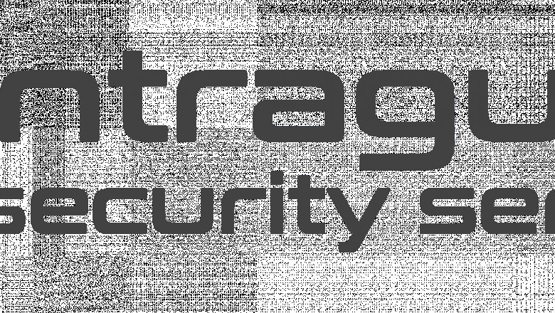 How to Choose the Right Event Security Firm for Your Event