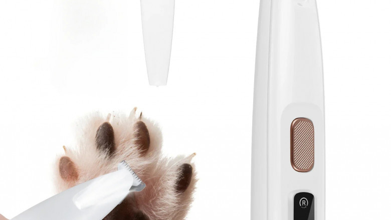 Is a Pet Hair Trimmer Worth It? Here’s Why Your Cat Will Thank You