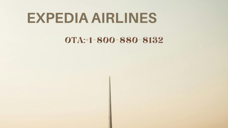 How do I contact to a real person on Expedia?
