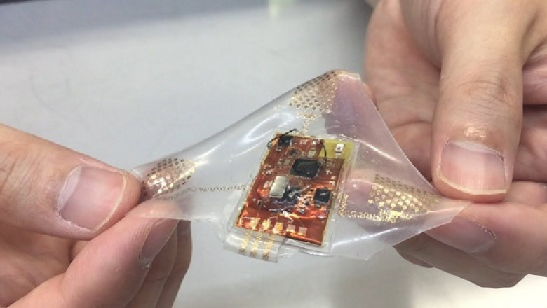 Stretchable Electronics Market: Growth & Trends by 2031
