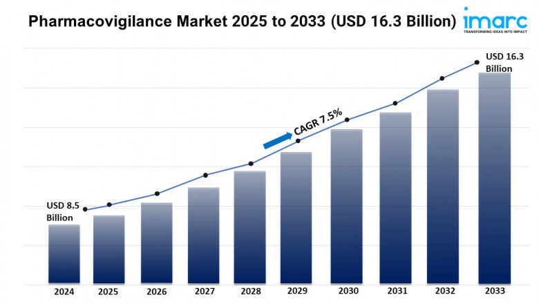 Pharmacovigilance Market Size, Growth, and Trends Report 2025-2033
