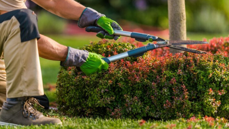 What Are the Most Common Mistakes When Hiring a Landscape Contractor in Singapore?