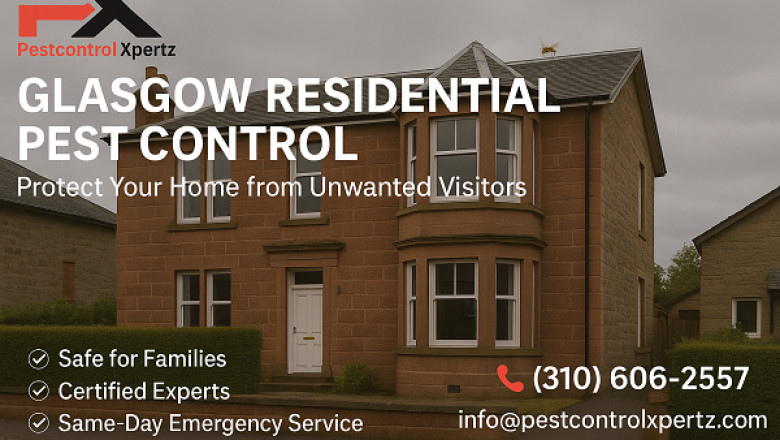 How to Protect Your Space and Sanity with Quick Pest Control in Glasgow